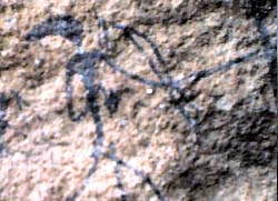 Rock Art in the Nubeb Mountain Namibia Usakos