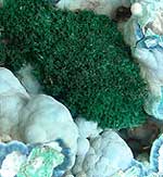 malachite shattuckite koakofeld